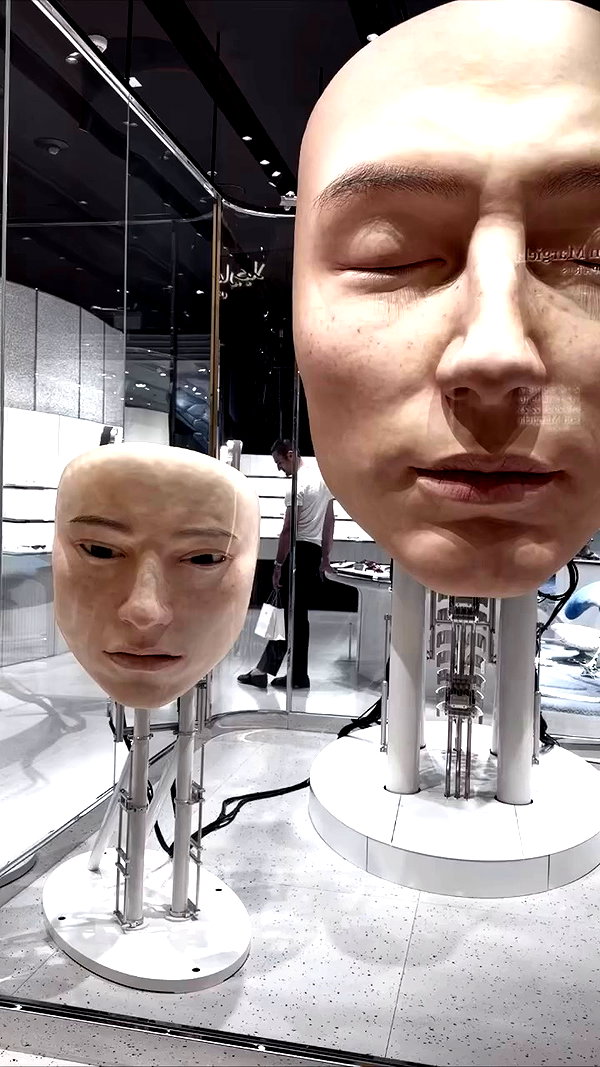 eyeooone archive video preview