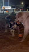 yaarat11 Altpins Profile Picture