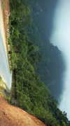 liron_haas Altpins Profile Picture