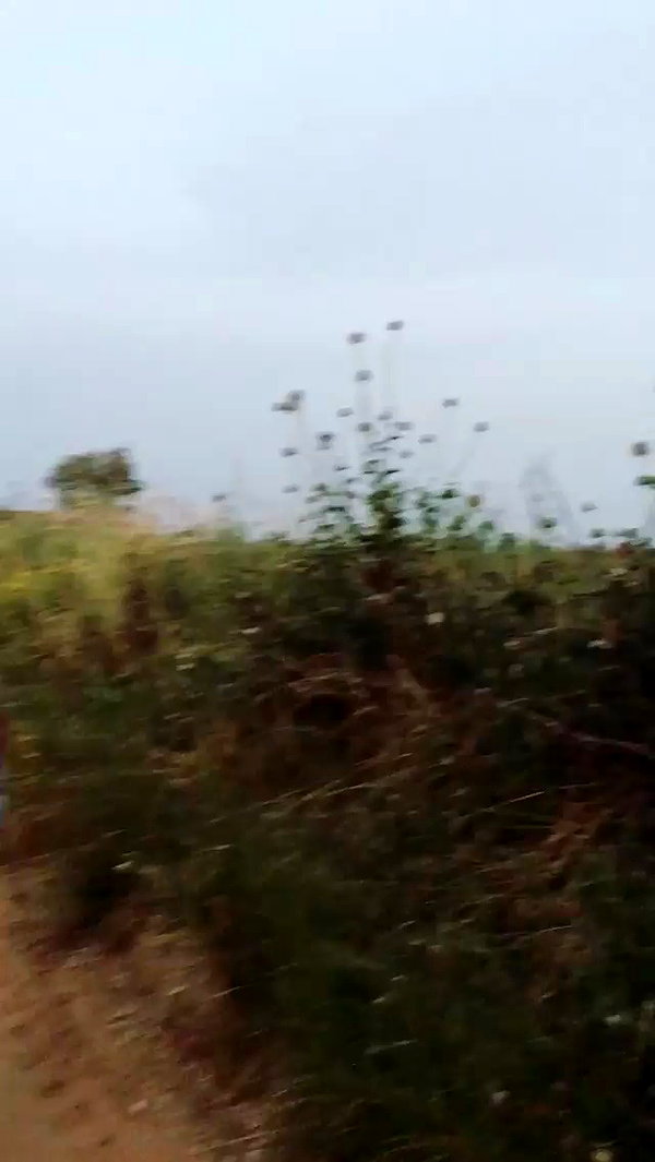 evasela__ archive video preview