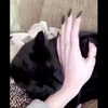danielle.mercedie Altpins Profile Picture