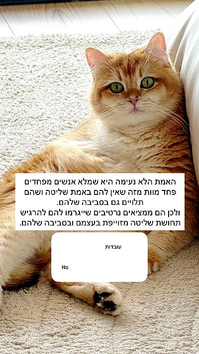 itsilanosh itsilanosh archive video