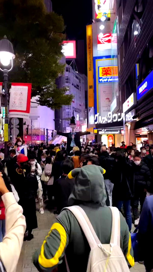 silkton archive video preview