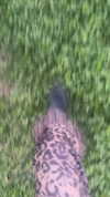 avitallllllllllllllll Altpins Profile Picture