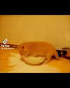 catl0verr69 Altpins Profile Picture