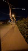 mishel_d_ Altpins Profile Picture