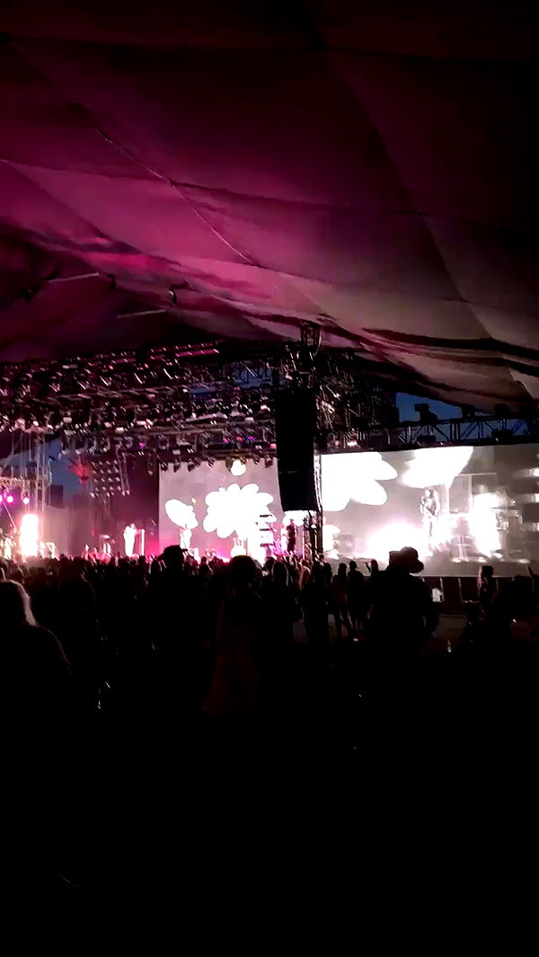 taylorballarddd archive video preview