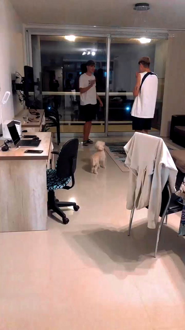_aldibernardo archive video preview
