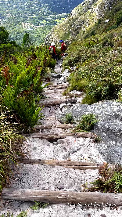 taylor.creeden taylor.creeden archive video