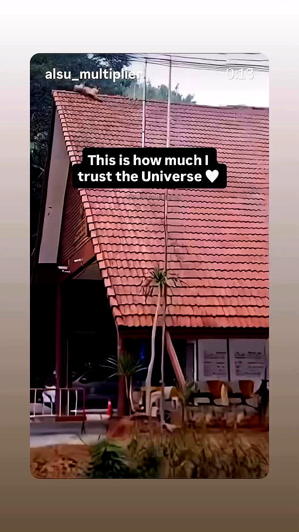 sofiavergara archive video preview