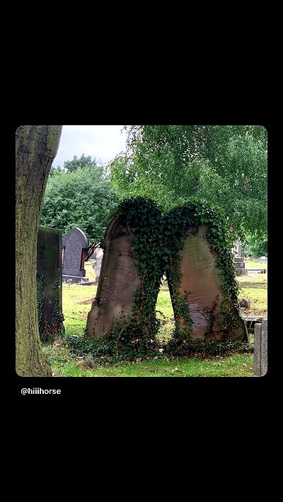 moonliliaght moonliliaght archive video