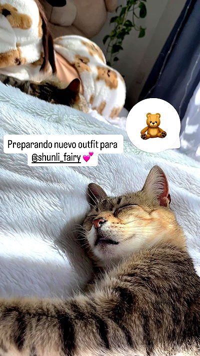 shunli__mei shunli__mei archive video