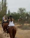 payton.r Altpins Profile Picture