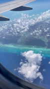 ruth_chavarri Altpins Profile Picture
