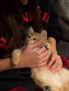 tooonytoony Altpins Profile Picture