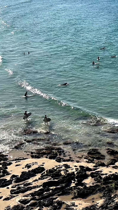 taylor.creeden taylor.creeden archive video