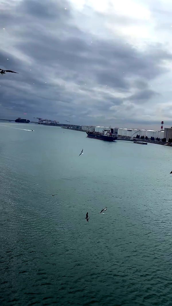 natalllluli archive video preview