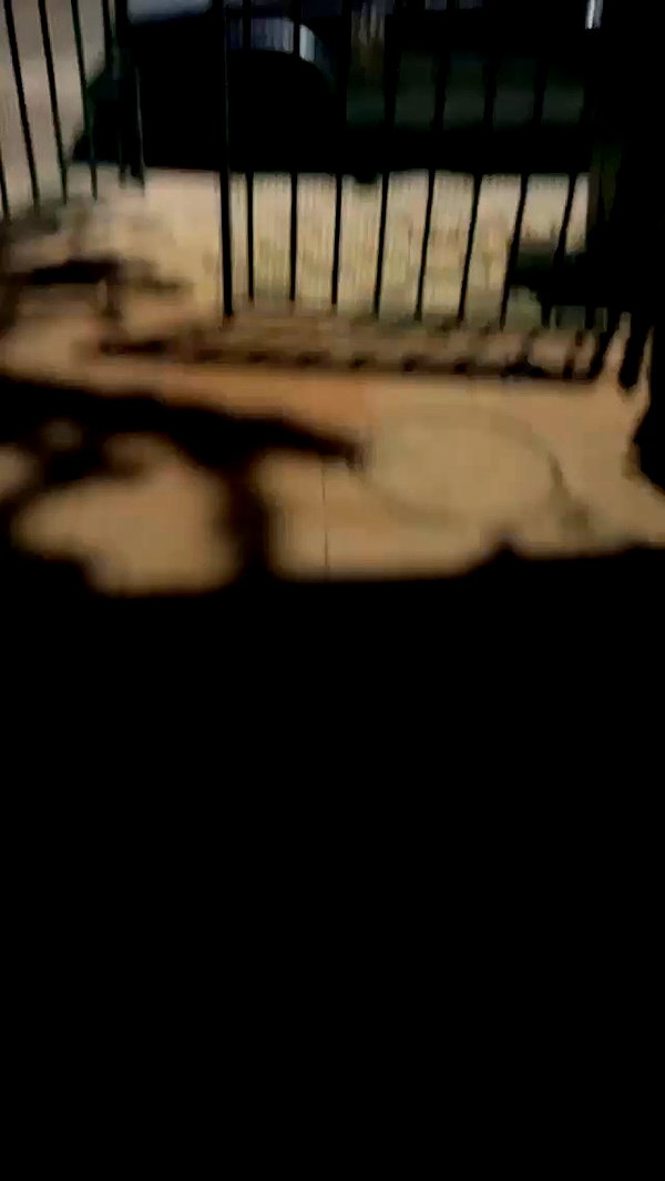 eitan.420 archive video preview