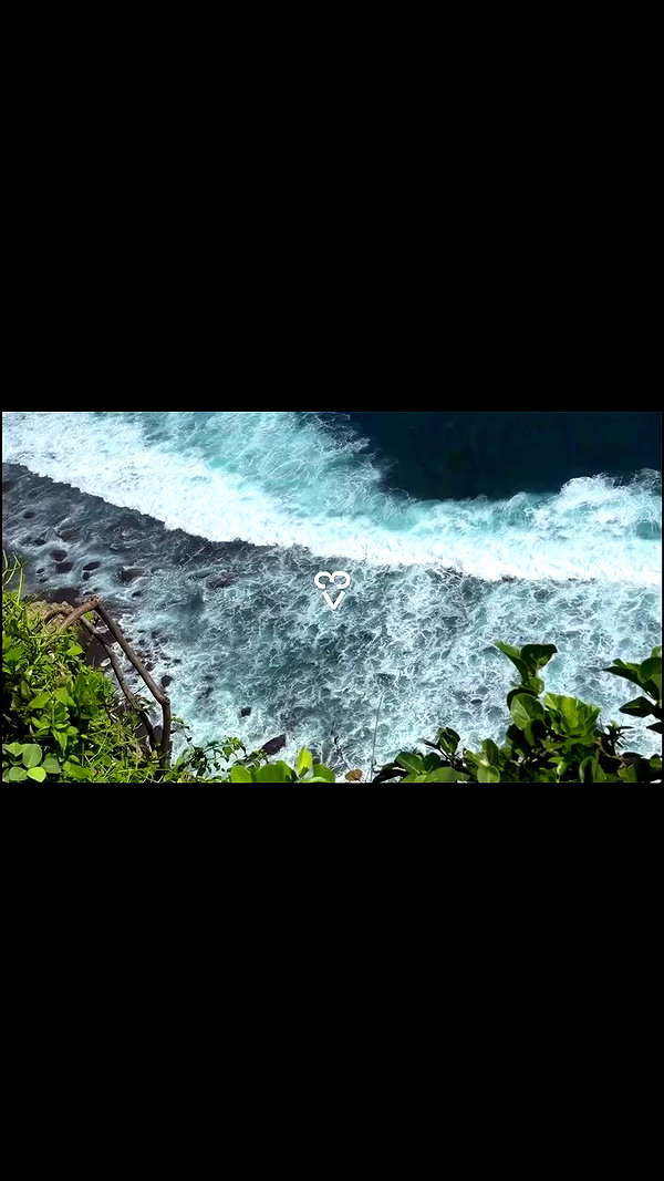 ann.shellll archive video preview