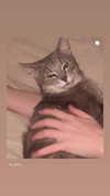 _tero._ Altpins Profile Picture