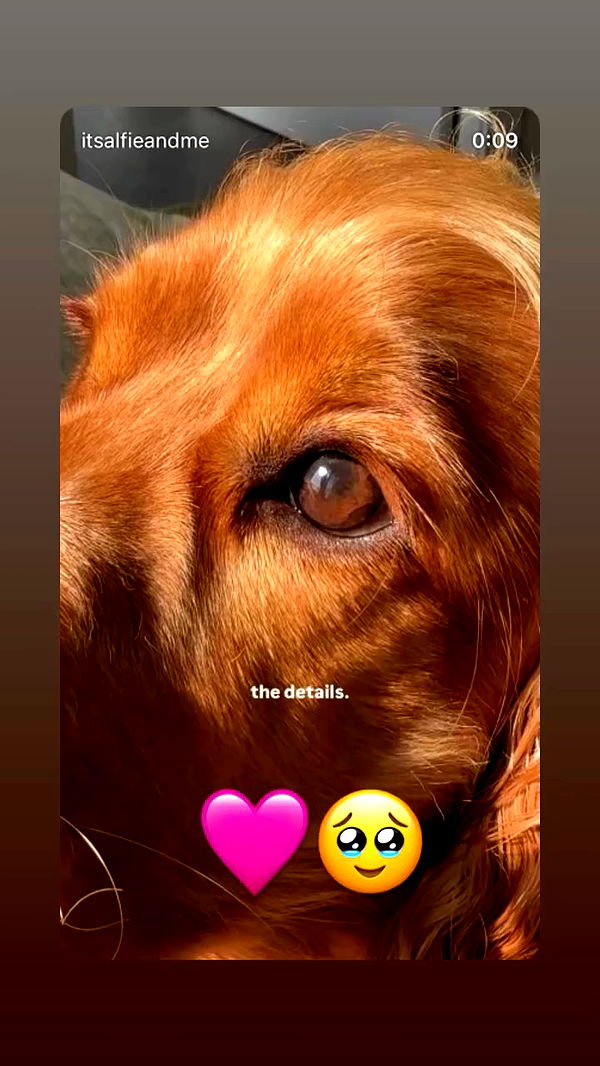 emily_new2 archive video preview