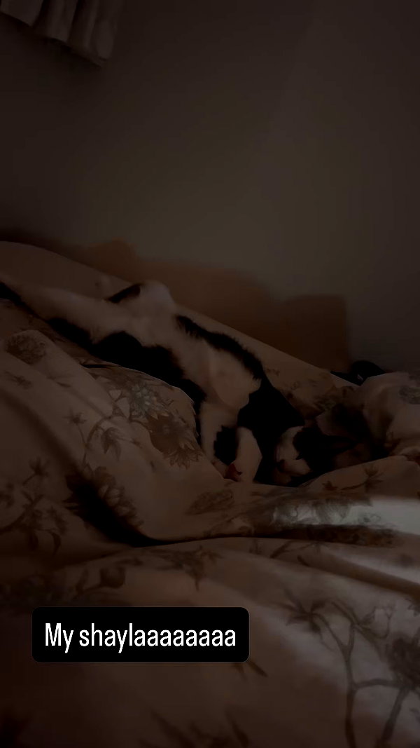 peachmilky_ archive video preview