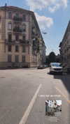 tirtza_cohen Altpins Profile Picture