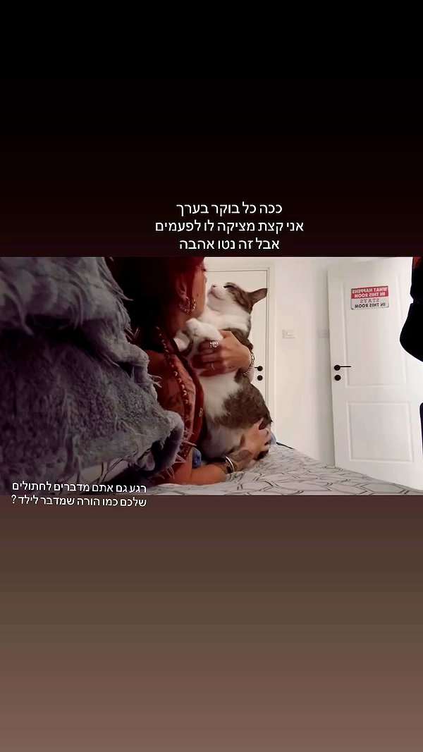 shaharo__._ archive video preview