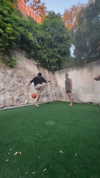 jonathan.mor_ Altpins Profile Picture