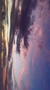 ann.shellll Altpins Profile Picture