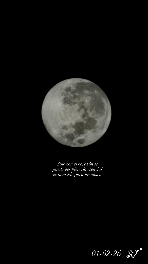 nicoescarlete archive video preview