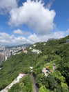 indra0102_ Altpins Profile Picture