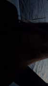 meiiisame Altpins Profile Picture