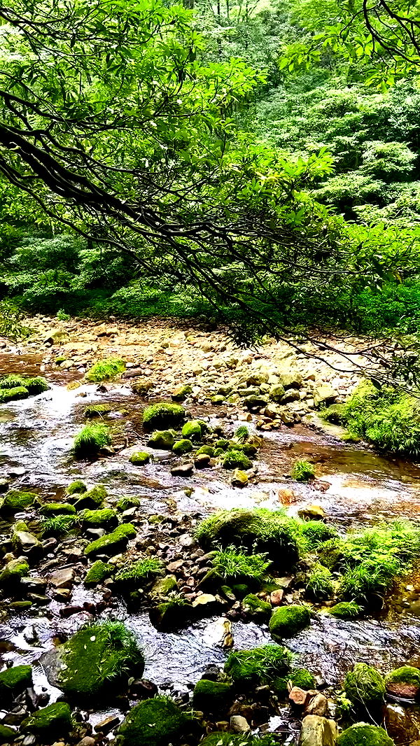 lovemeize archive video preview