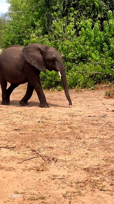 taylor.creeden taylor.creeden archive video