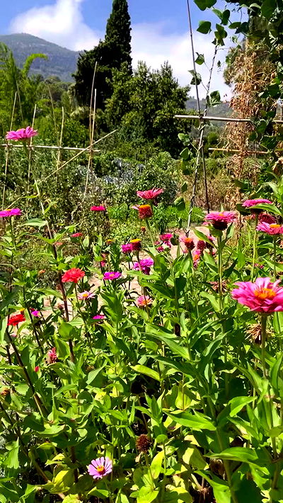 shunli__mei shunli__mei archive video