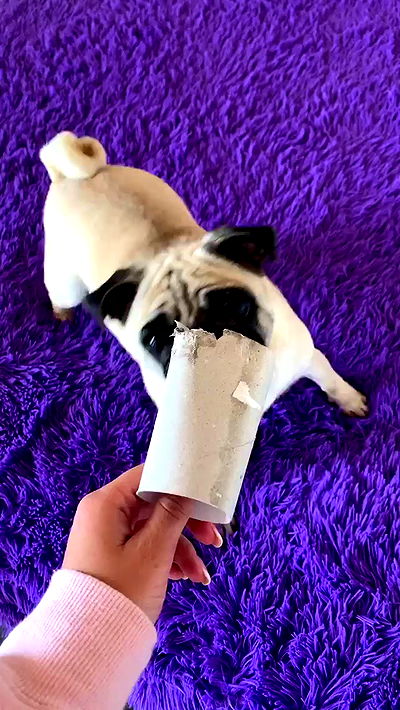 nyityam nyityam archive video