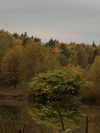 alishevs Altpins Profile Picture