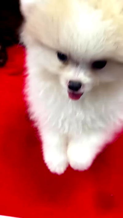 taylor.creeden taylor.creeden archive video