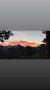 shakeddri Altpins Profile Picture