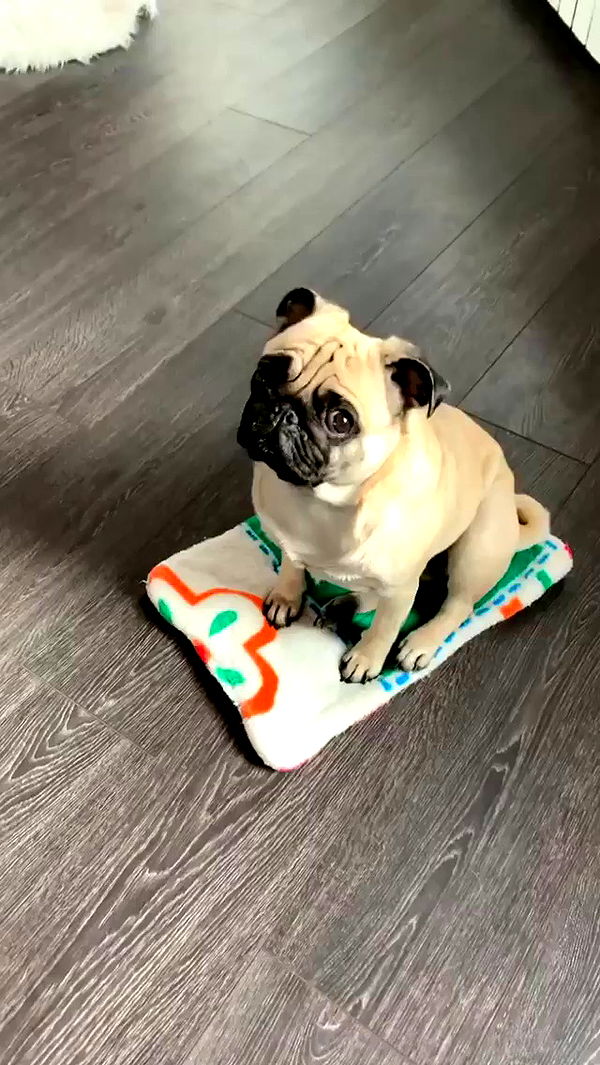 nyityam archive video preview