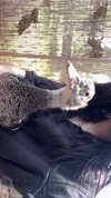 feelbetterinmysweater Altpins Profile Picture