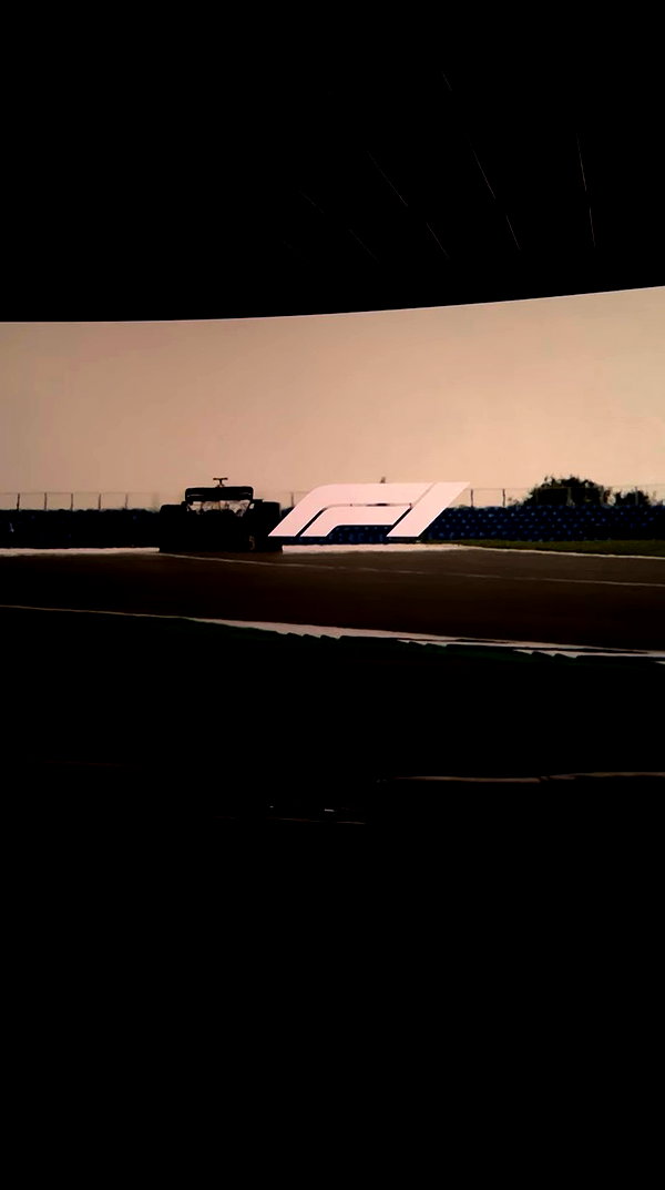 simrxn.n archive video preview