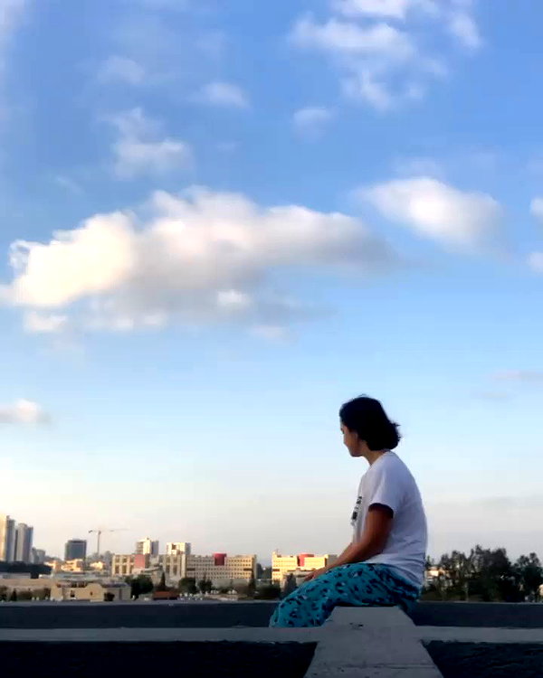 yuval_raz archive video preview