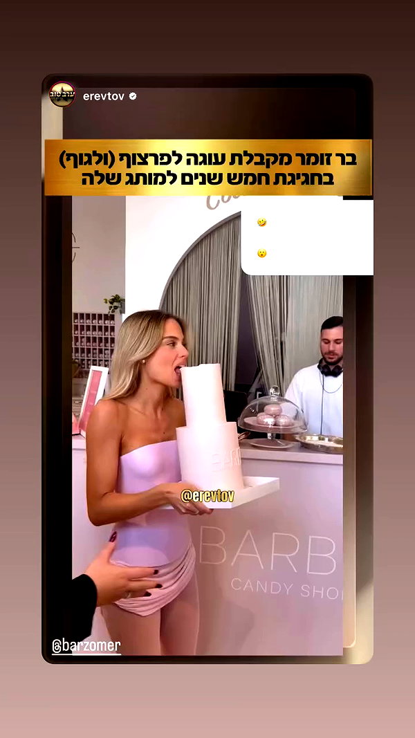 barzomer archive video preview
