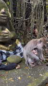 biohazard.g1rl Altpins Profile Picture