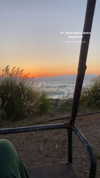 yaarat11 Altpins Profile Picture