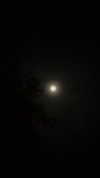 darkstar_mia Altpins Profile Picture
