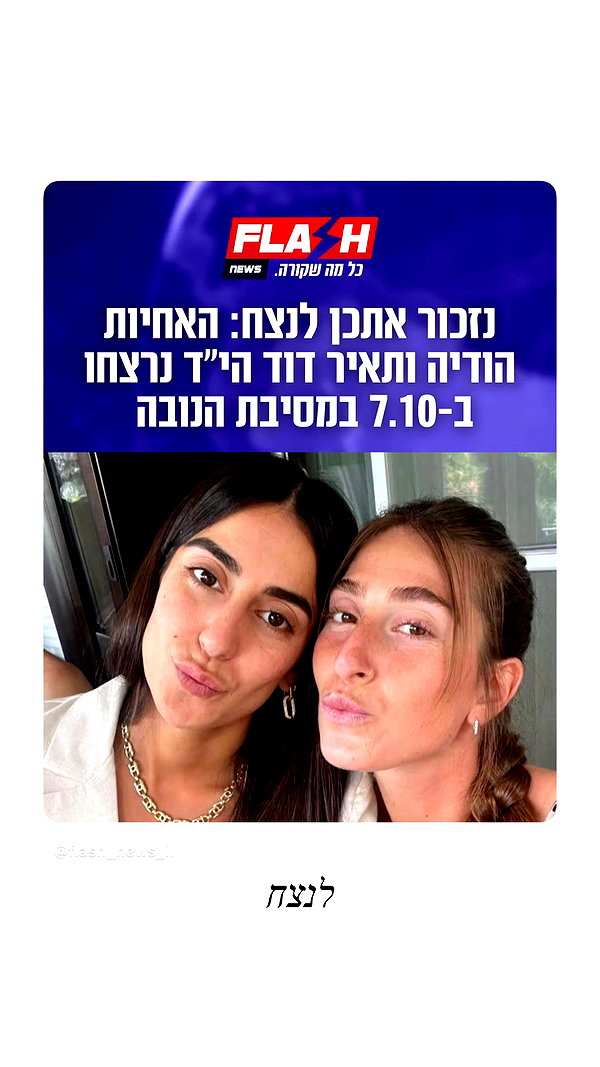 sapir_avisror archive video preview