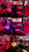 vasian_life Altpins Profile Picture